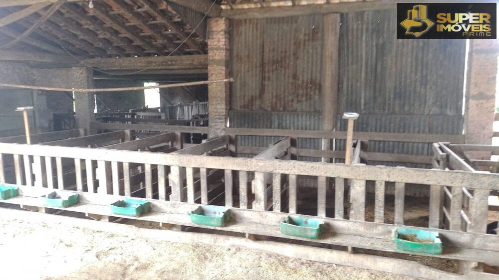 Fazenda à venda com 3 quartos, 660000m² - Foto 11