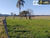 Fazenda, 409 hectares - Foto 1