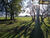 Fazenda, 409 hectares - Foto 3