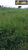 Fazenda, 1470 hectares - Foto 4