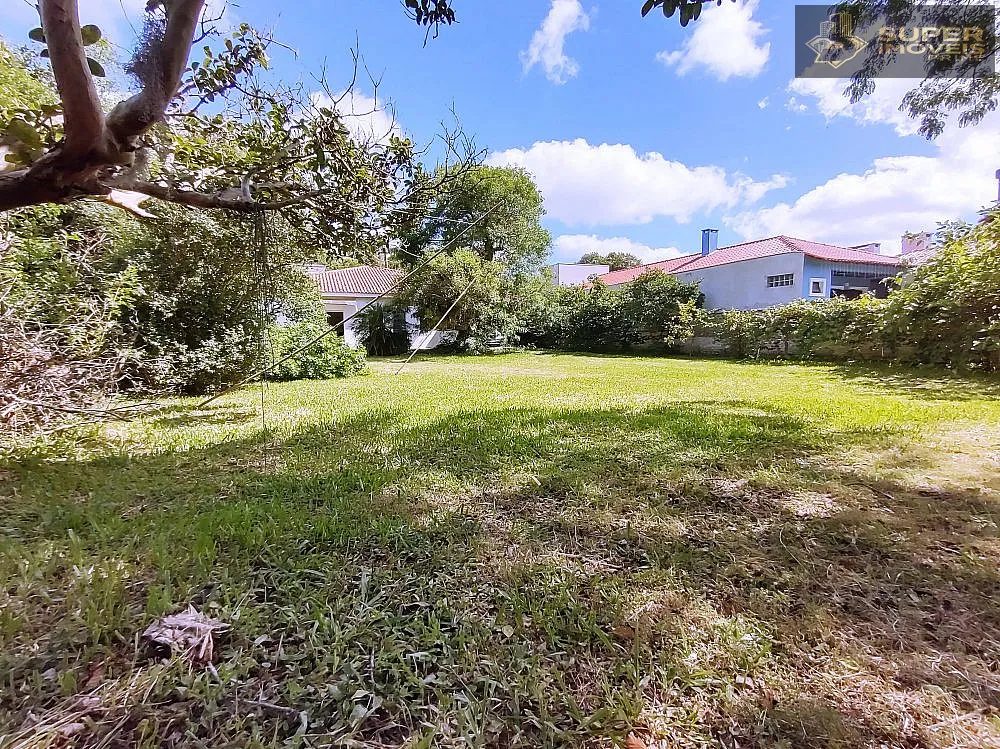 Casa, 3 quartos, 910 m² - Foto 13