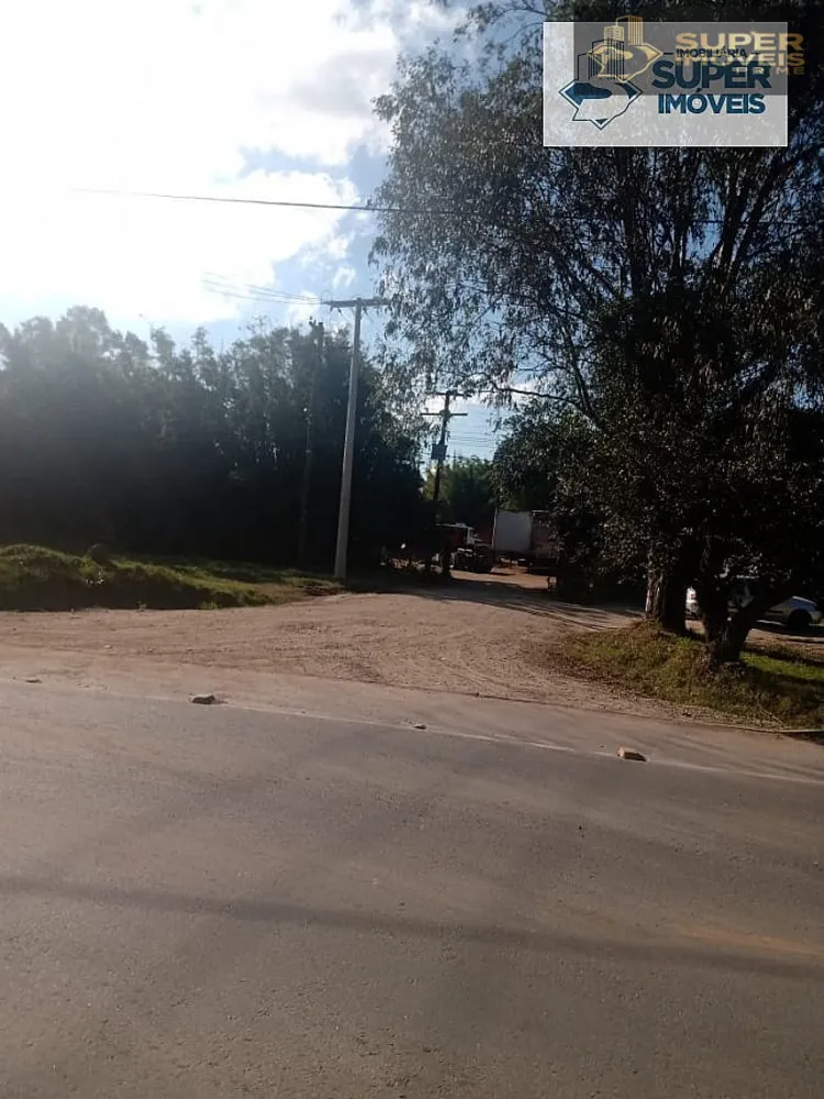 Terreno, 4 hectares - Foto 6