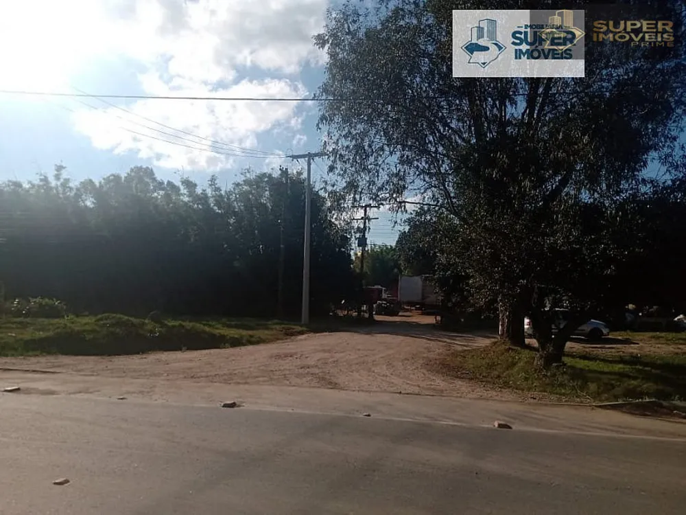 Terreno, 4 hectares - Foto 12