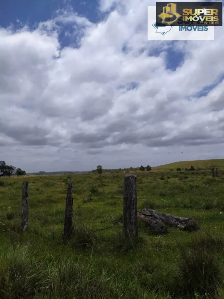 Fazenda à venda com 2 quartos, 60000m² - Foto 14