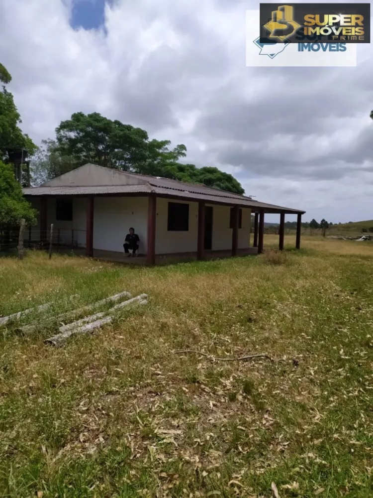 Fazenda à venda com 2 quartos, 60000m² - Foto 5