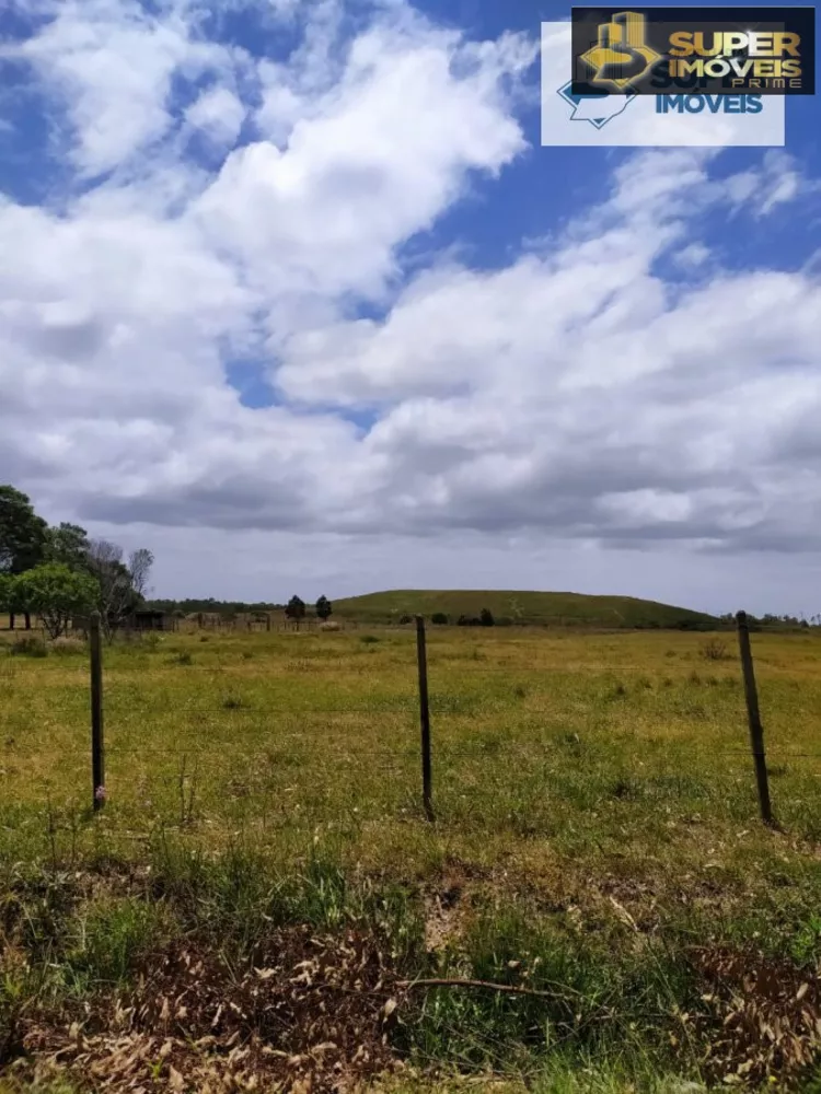 Fazenda à venda com 2 quartos, 60000m² - Foto 12