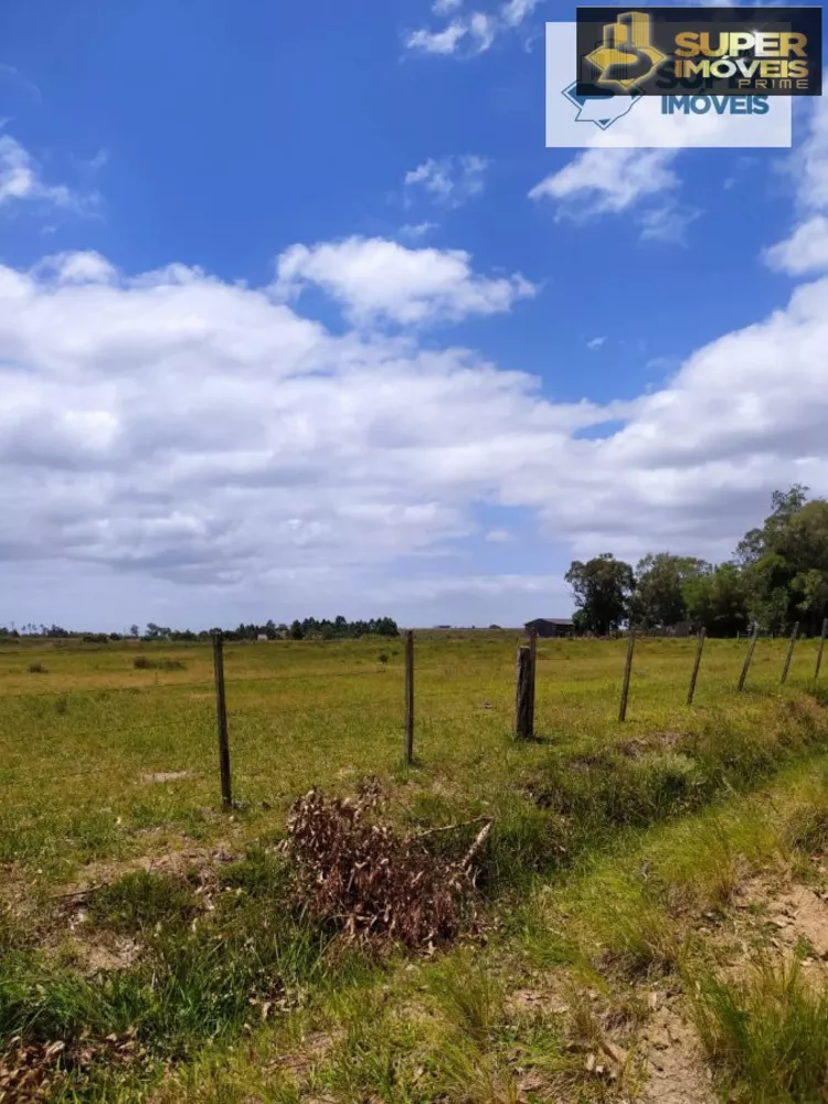 Fazenda à venda com 2 quartos, 60000m² - Foto 13