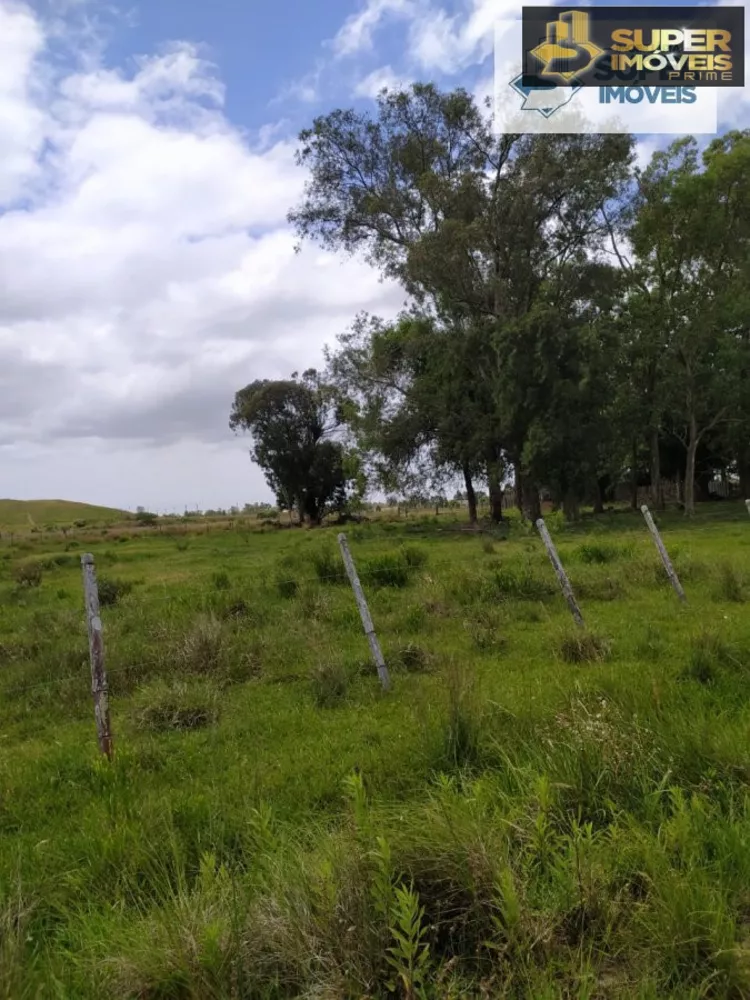 Fazenda à venda com 2 quartos, 60000m² - Foto 11