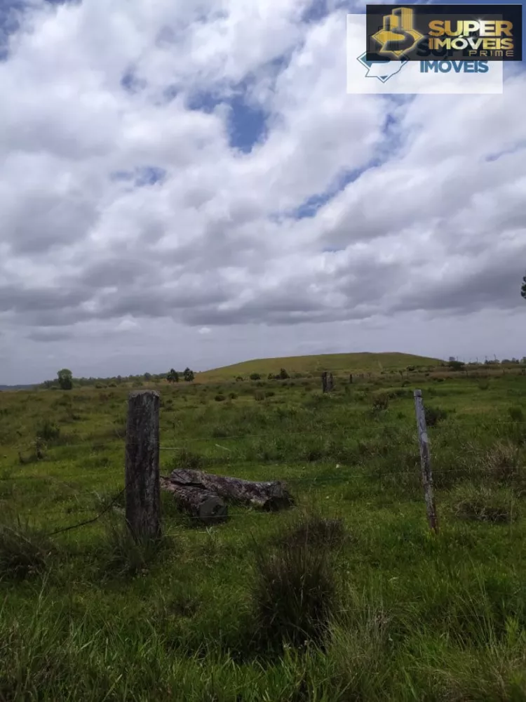 Fazenda à venda com 2 quartos, 60000m² - Foto 10