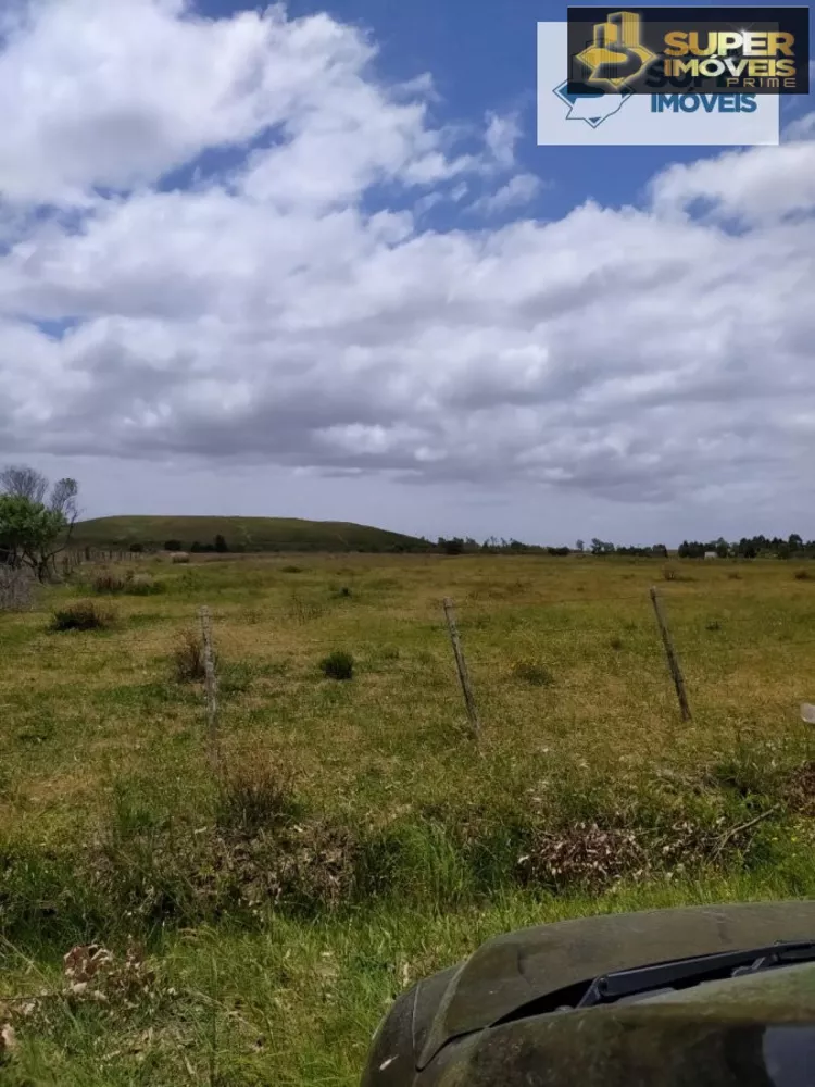 Fazenda à venda com 2 quartos, 60000m² - Foto 7