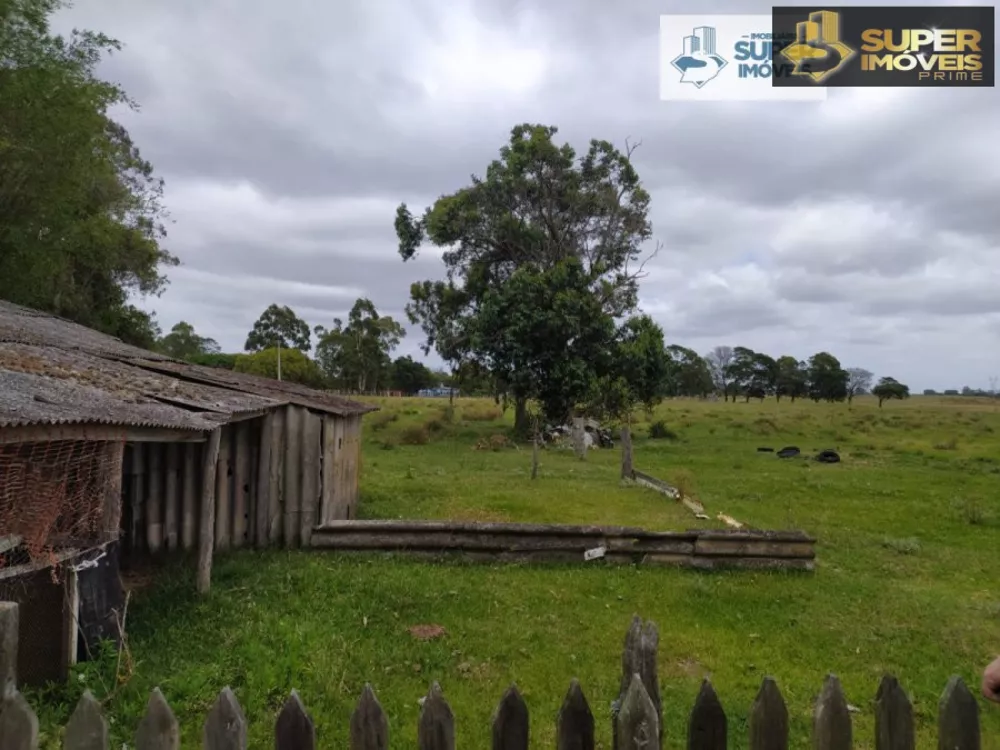 Fazenda à venda com 2 quartos, 60000m² - Foto 21