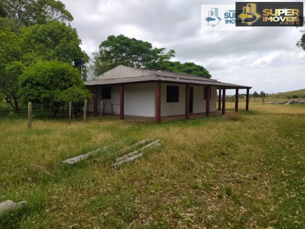 Fazenda à venda com 2 quartos, 60000m² - Foto 4