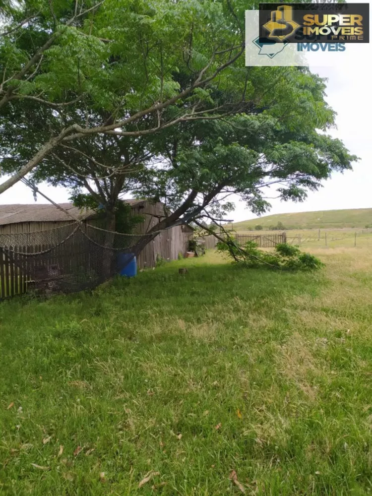 Fazenda à venda com 2 quartos, 60000m² - Foto 17