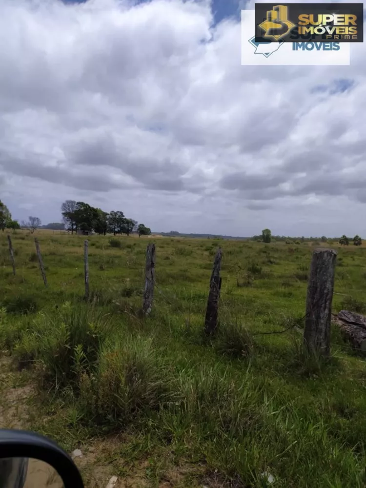 Fazenda à venda com 2 quartos, 60000m² - Foto 2