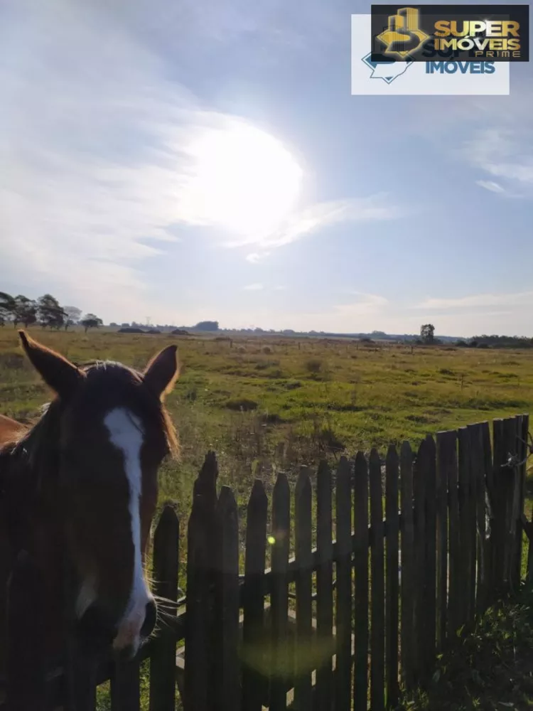 Fazenda à venda com 2 quartos, 60000m² - Foto 20