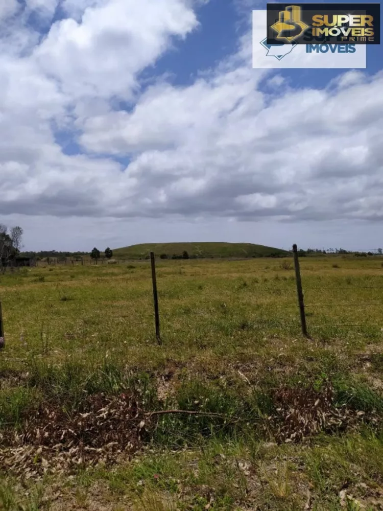 Fazenda à venda com 2 quartos, 60000m² - Foto 15