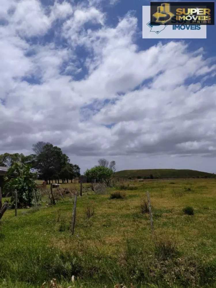 Fazenda à venda com 2 quartos, 60000m² - Foto 9