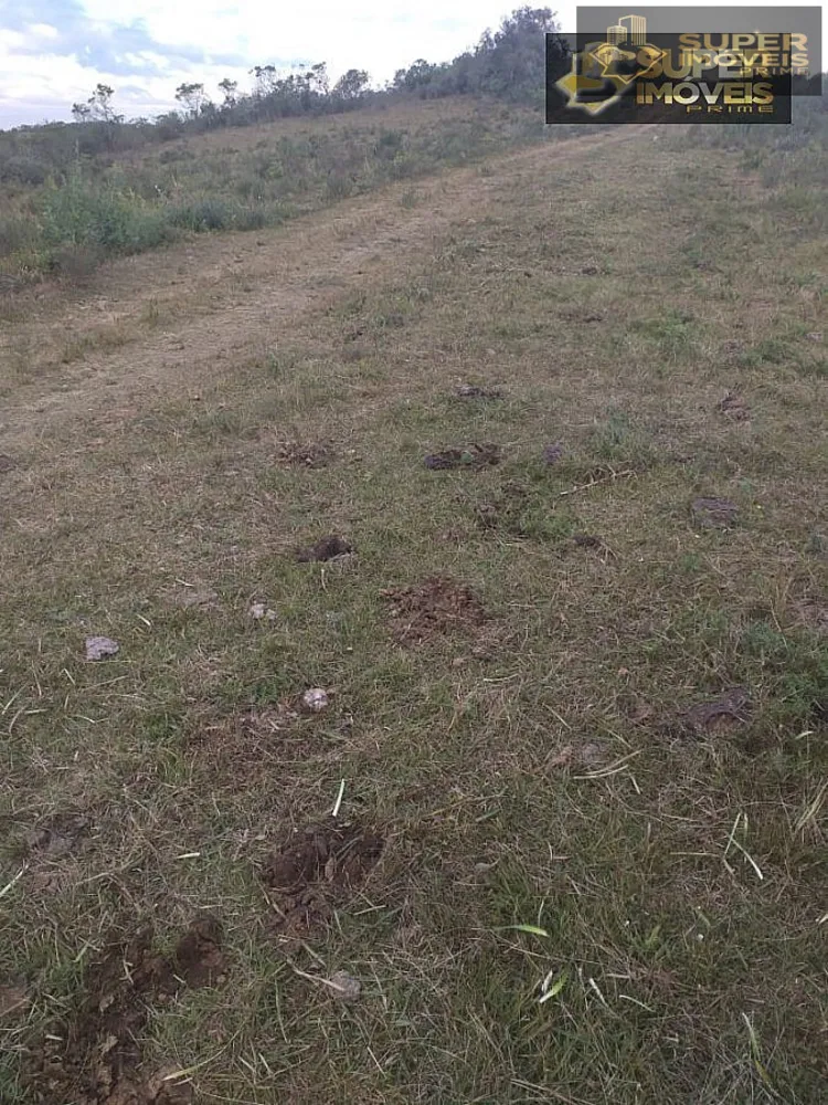 Fazenda, 414 hectares - Foto 6