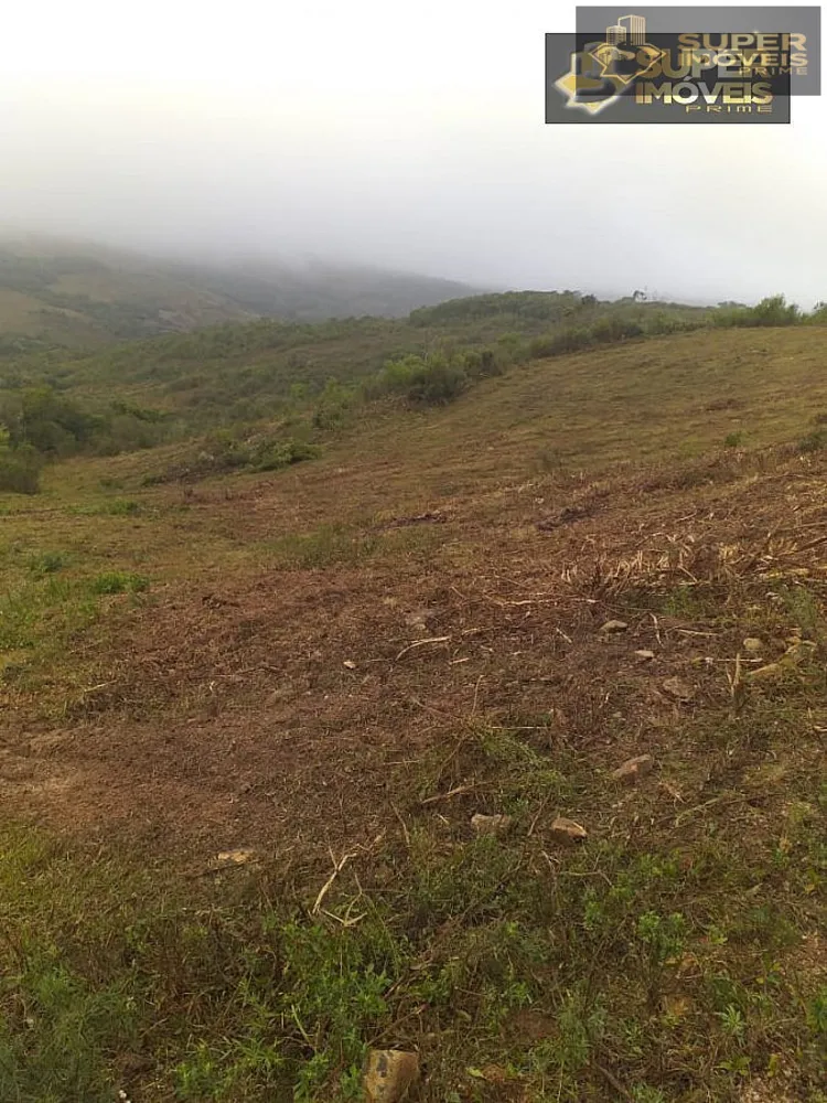 Fazenda, 414 hectares - Foto 9