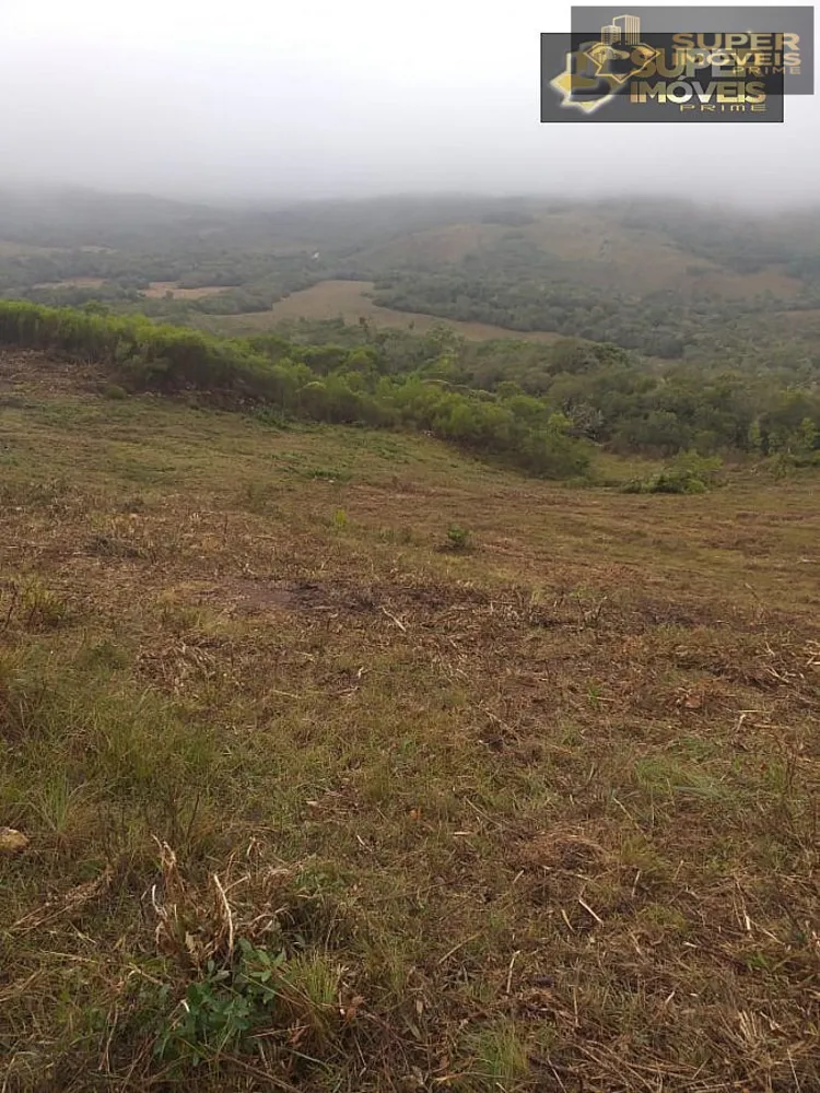 Fazenda, 414 hectares - Foto 3