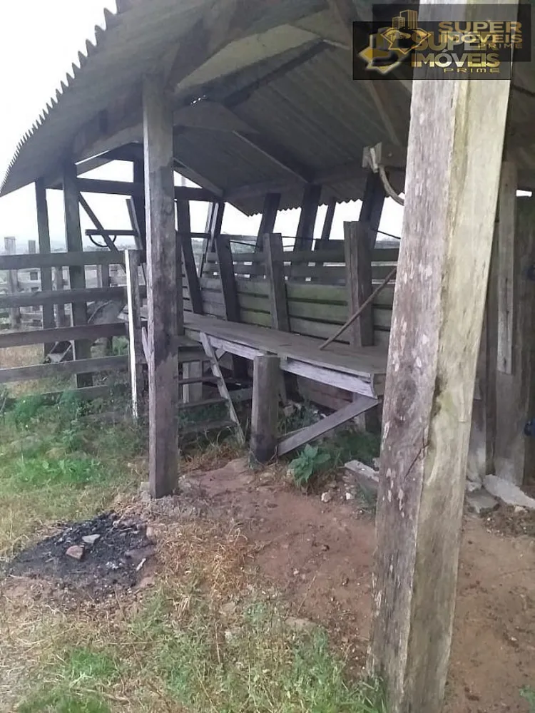 Fazenda, 414 hectares - Foto 1