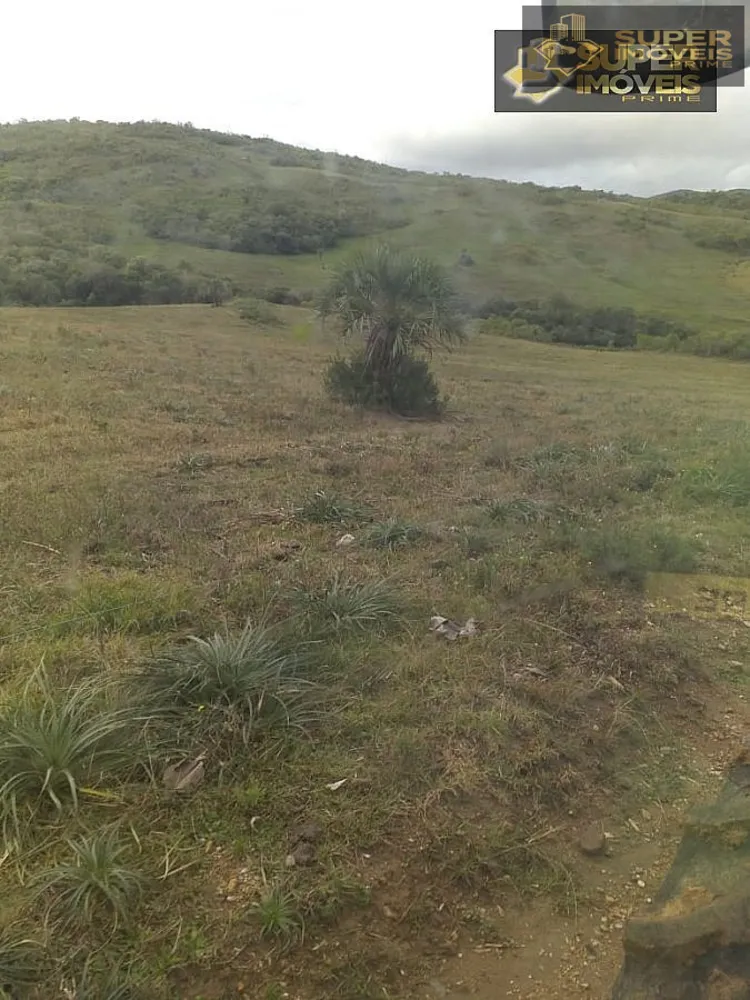 Fazenda, 414 hectares - Foto 10
