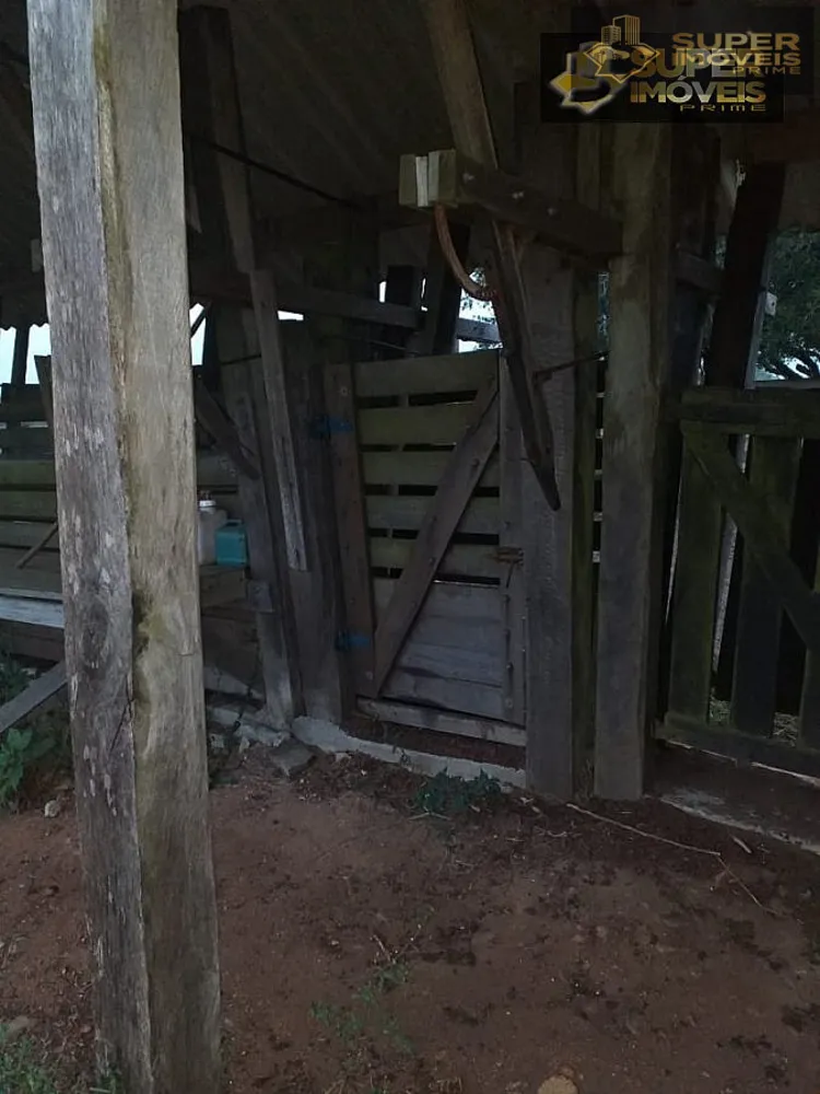 Fazenda, 414 hectares - Foto 11