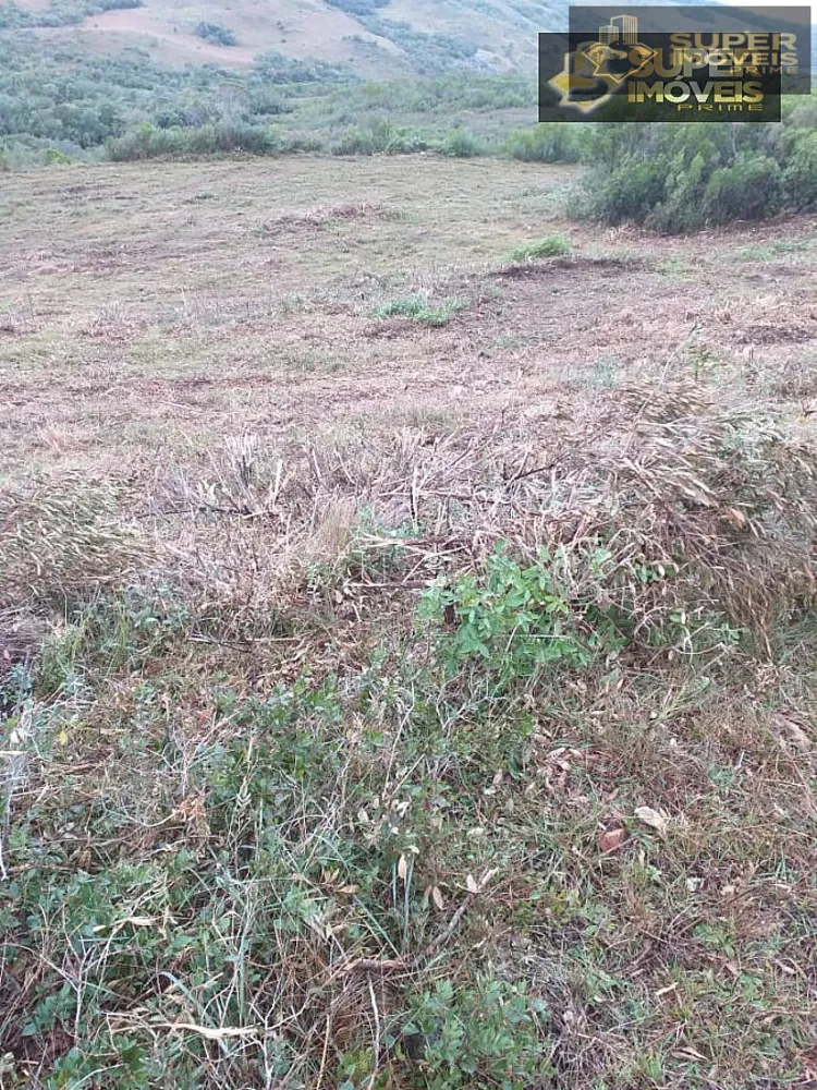 Fazenda, 414 hectares - Foto 10