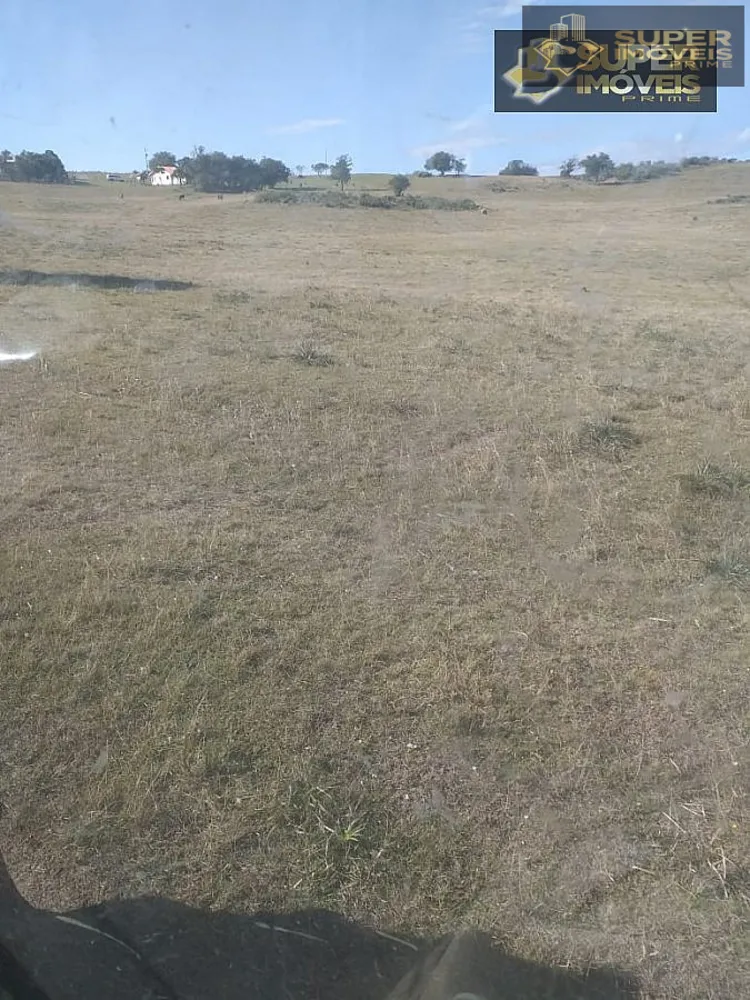Fazenda, 414 hectares - Foto 20