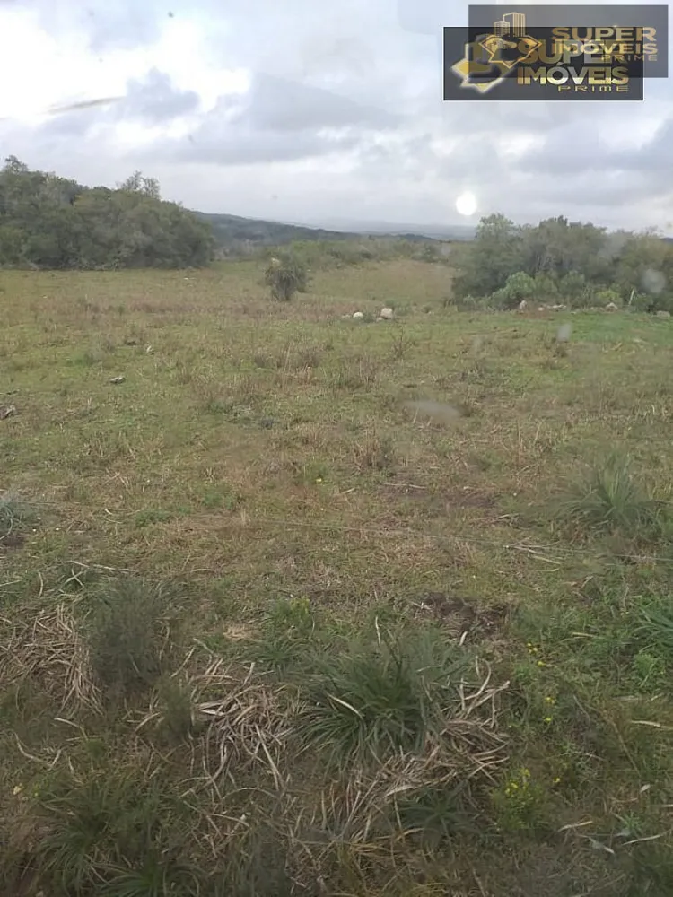 Fazenda, 414 hectares - Foto 7