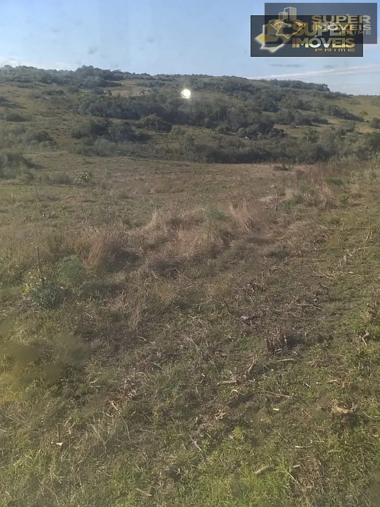 Fazenda, 414 hectares - Foto 9