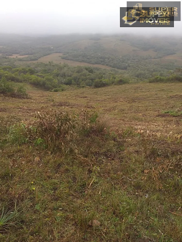 Fazenda, 414 hectares - Foto 8