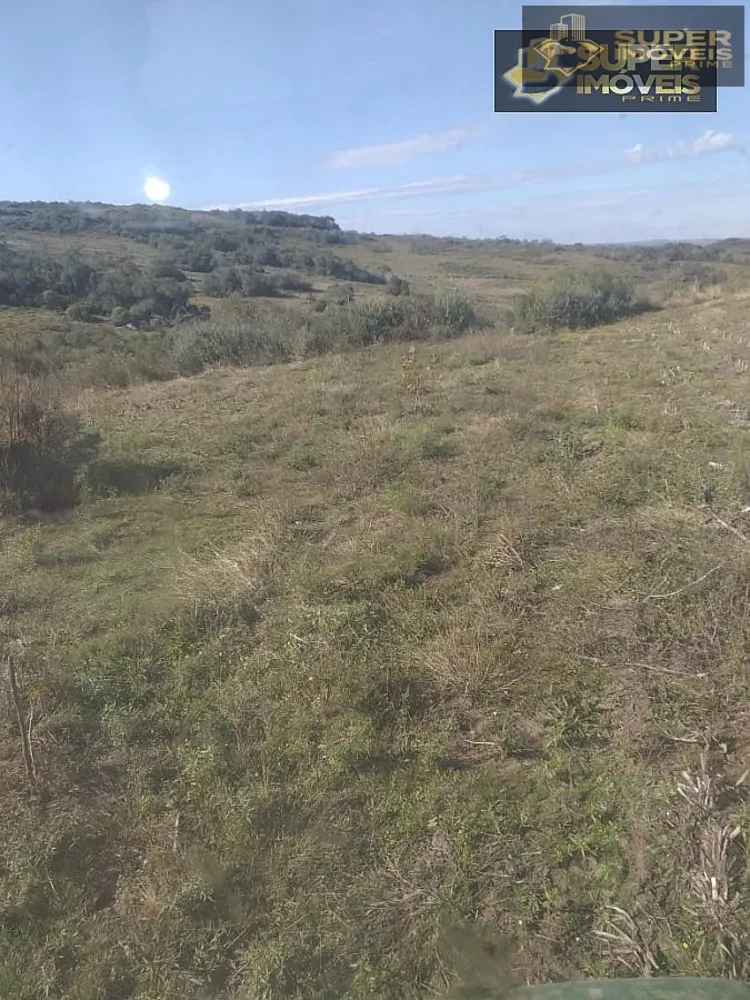 Fazenda, 414 hectares - Foto 4