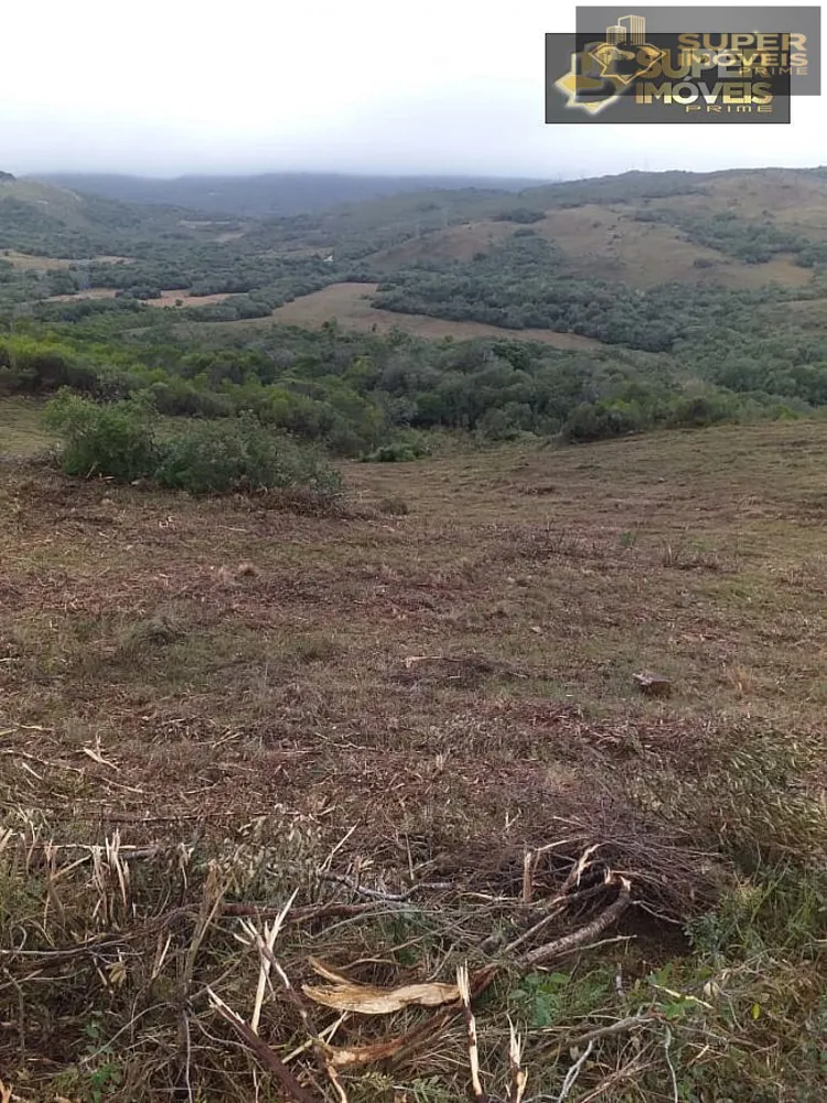 Fazenda, 414 hectares - Foto 14