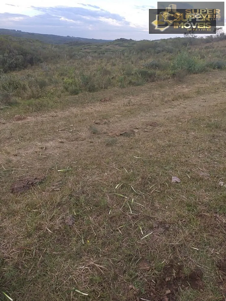 Fazenda, 414 hectares - Foto 12