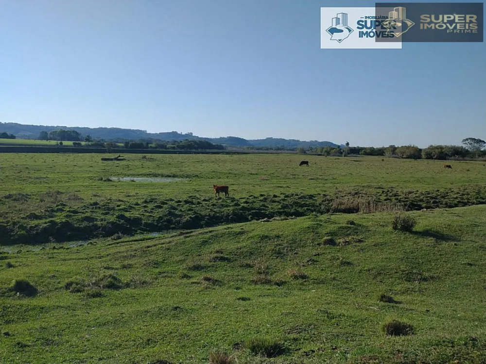 Fazenda, 409 hectares - Foto 7