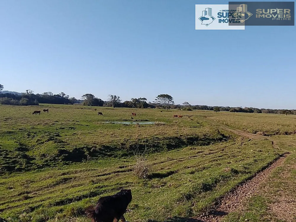 Fazenda, 409 hectares - Foto 2