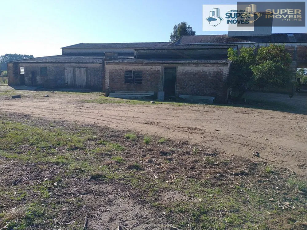 Fazenda, 409 hectares - Foto 11