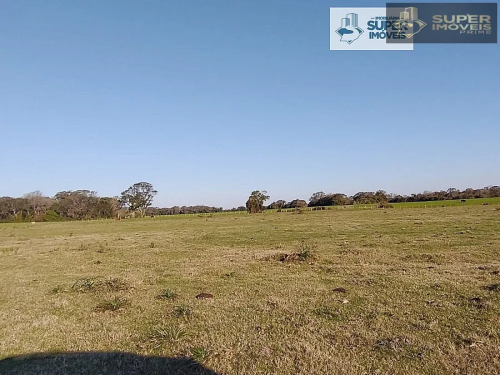 Fazenda, 409 hectares - Foto 3