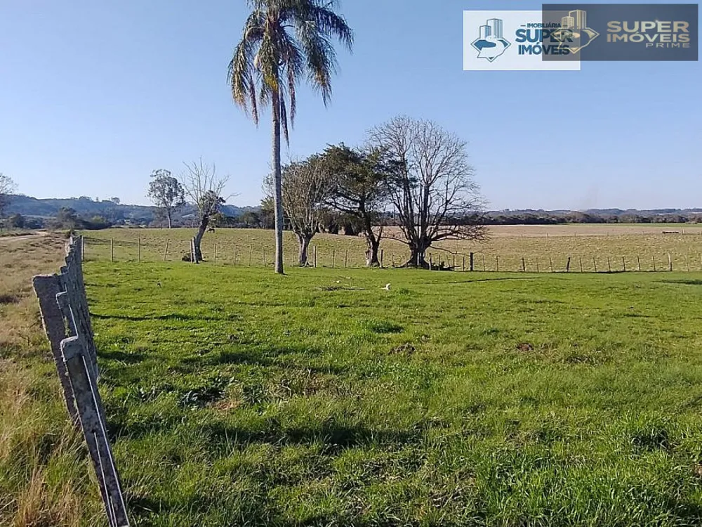 Fazenda, 409 hectares - Foto 1