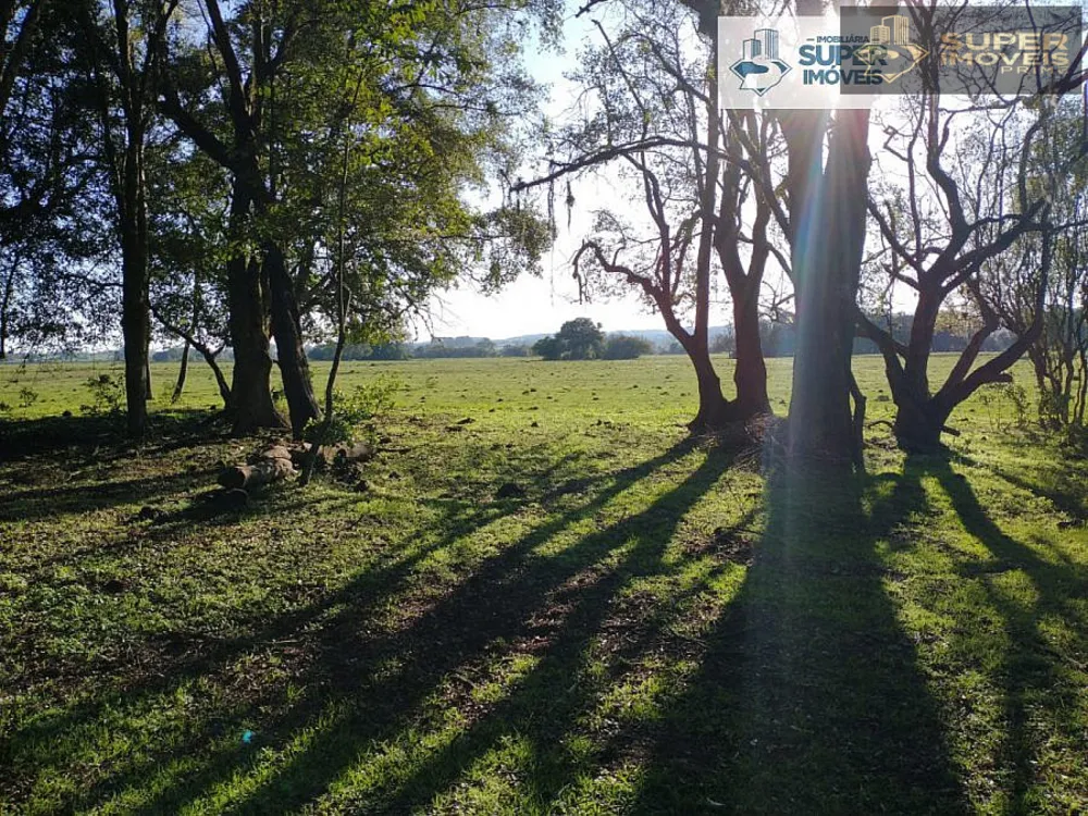 Fazenda, 409 hectares - Foto 4