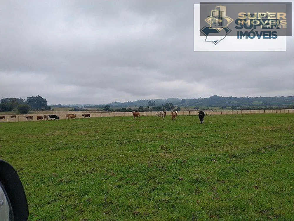 Fazenda, 409 hectares - Foto 9