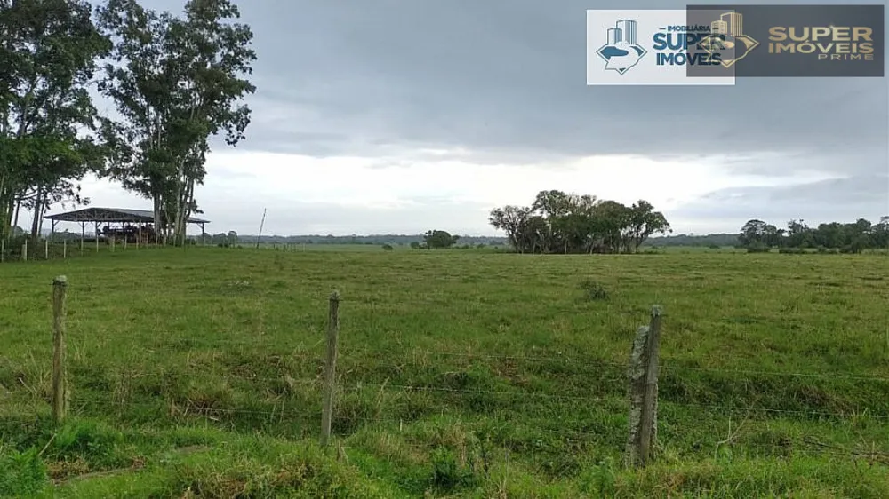 Fazenda, 409 hectares - Foto 8