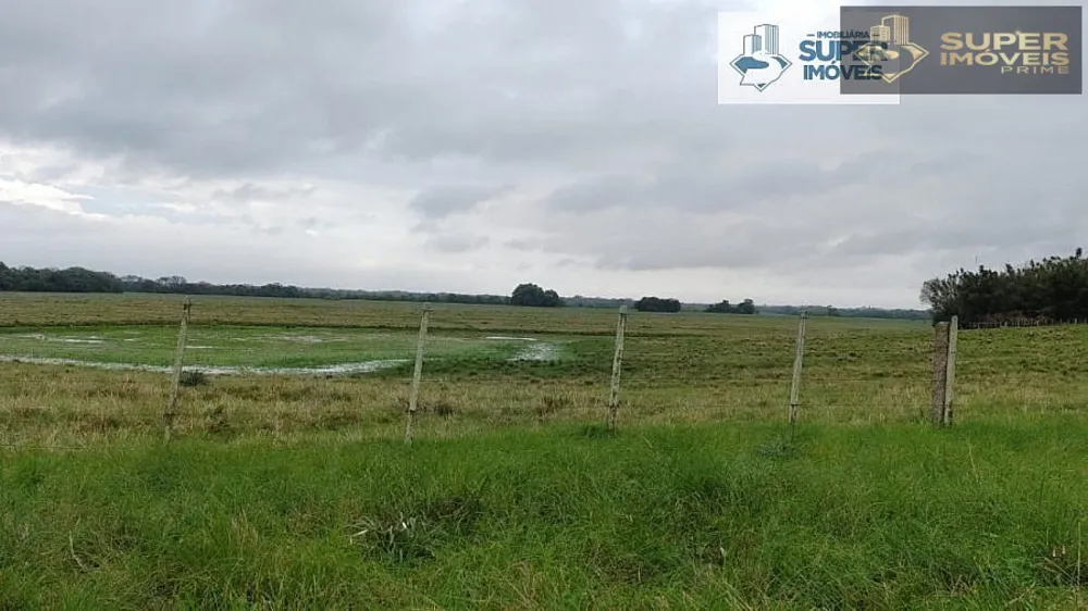 Fazenda, 409 hectares - Foto 6