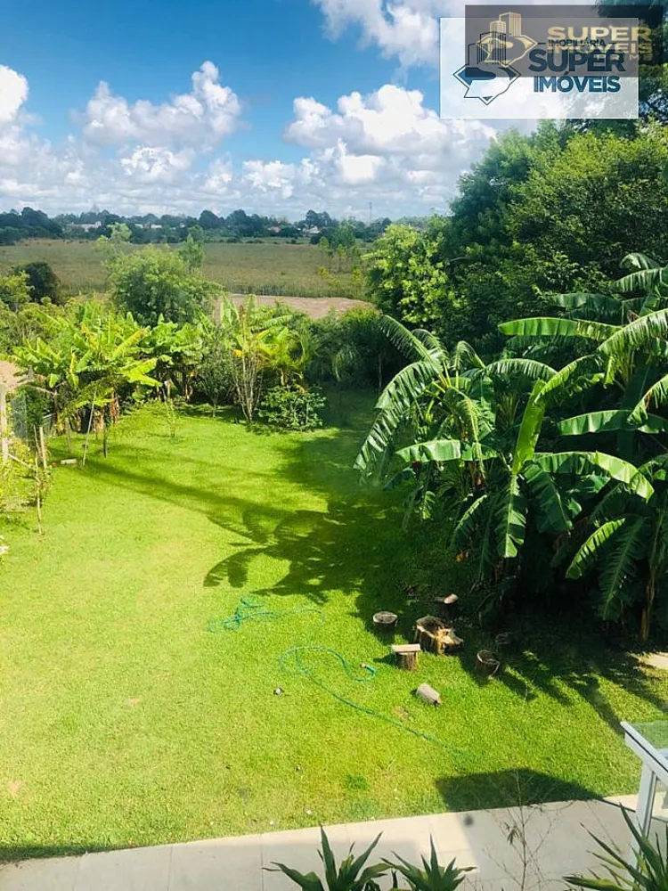 Casa, 4 quartos, 910 m² - Foto 3