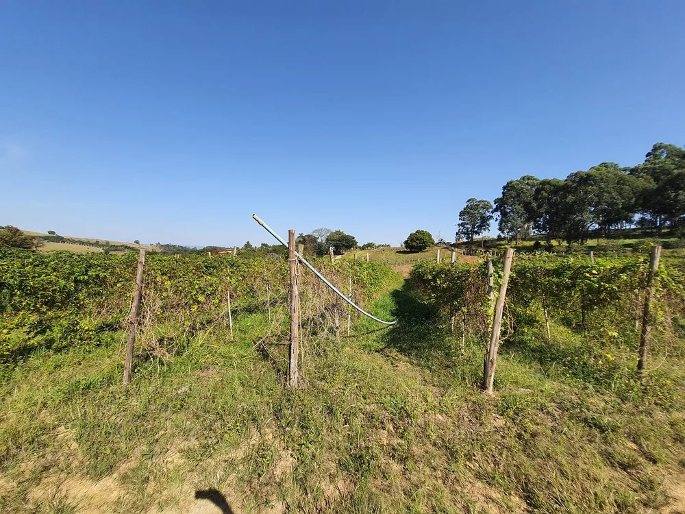 Terreno, 2 hectares - Foto 9