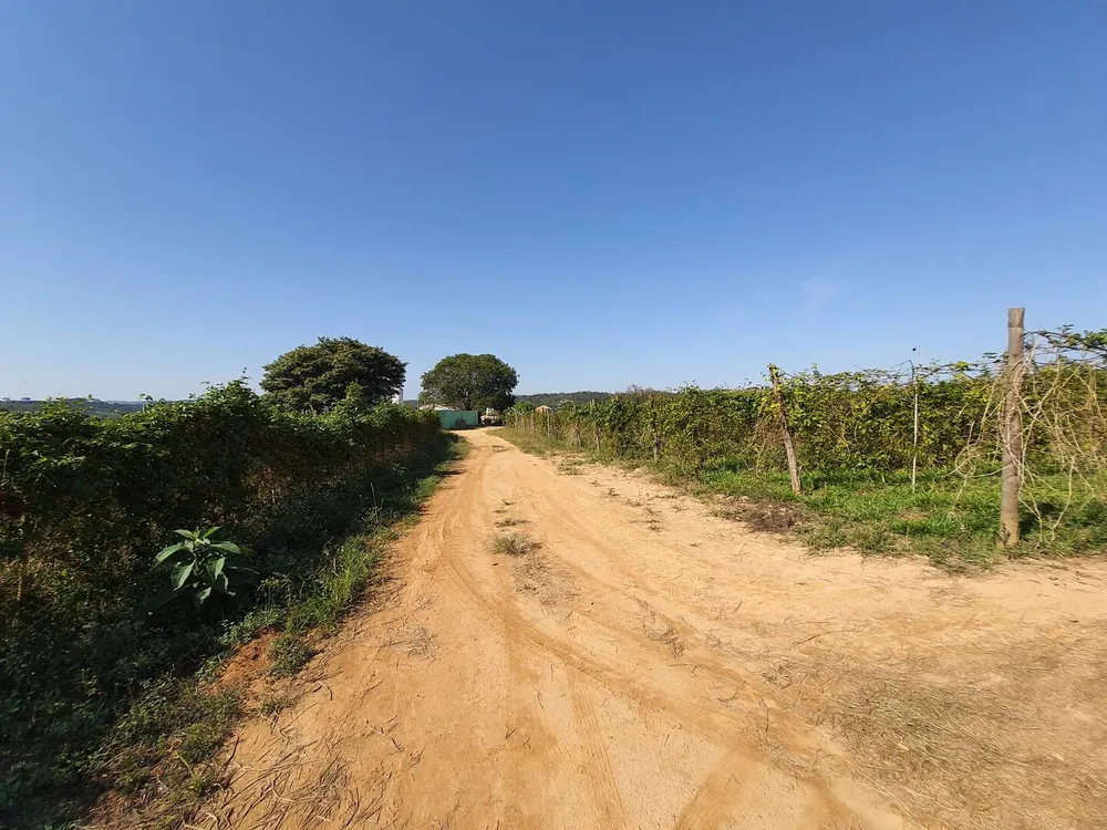 Terreno, 2 hectares - Foto 6