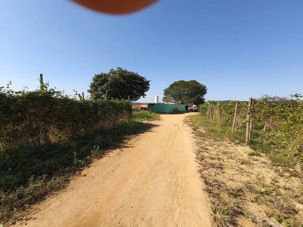 Terreno, 2 hectares - Foto 7