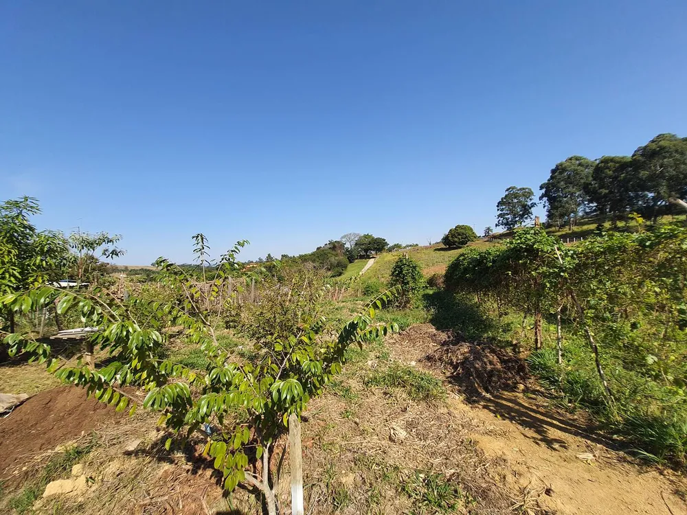 Terreno, 2 hectares - Foto 10