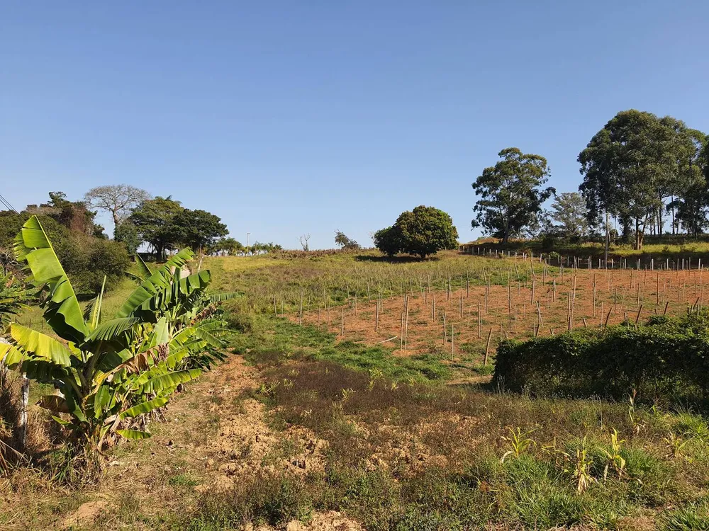 Terreno, 2 hectares - Foto 1